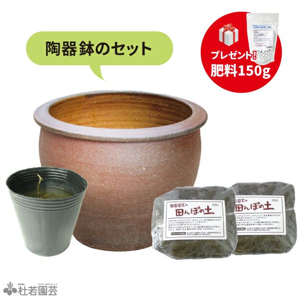 陶器鉢で育てる小型ハス栽培オールインワンセット【肥料プレゼント