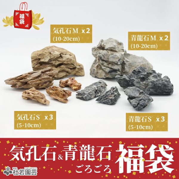 青龍石-2 | 杜若園芸WEBショップ｜水草の生産販売【通販ショップ】