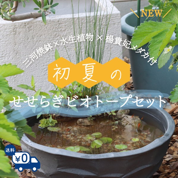 株式会社 杜若園芸｜水草の生産販売【通販ショップ】