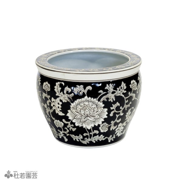 水鉢KAREN-mini ブラック | 杜若園芸WEBショップ｜水草の生産販売