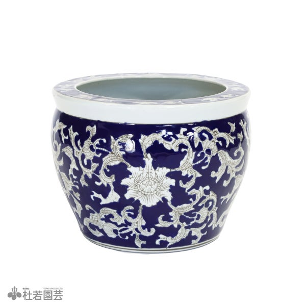 株式会社 杜若園芸｜水草の生産販売【通販ショップ】