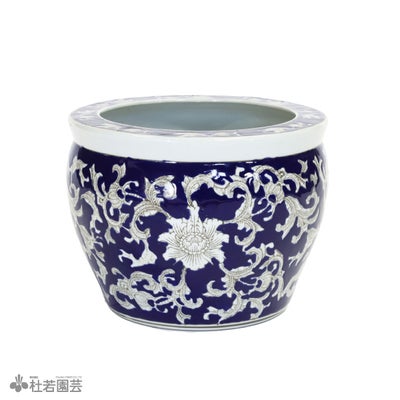 メダカにおすすめ！メダカ鉢 | 杜若園芸WEBショップ｜水草の生産販売 