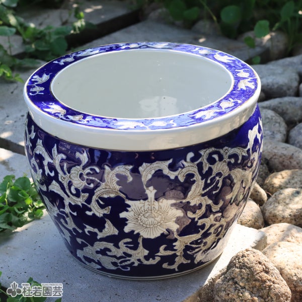 水鉢KAREN-mini ブルー | 杜若園芸WEBショップ｜水草の生産販売【通販