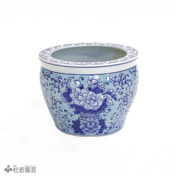 水鉢KAREN-mini ライトブルー | 杜若園芸WEBショップ｜水草の生産販売