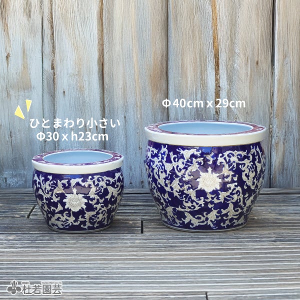 水鉢KAREN-mini ライトブルー | 杜若園芸WEBショップ｜水草の生産販売