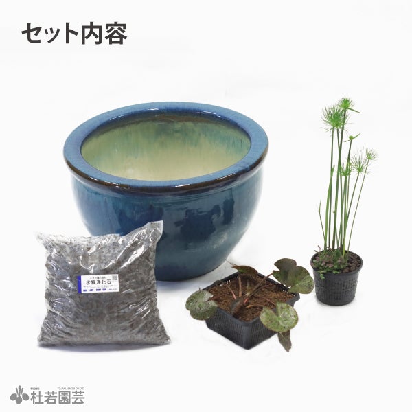 希少品種スイレン＆夏水草の贅沢セット | 杜若園芸WEBショップ｜水草の