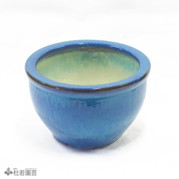 陶器鉢（EW2192 大） | 杜若園芸WEBショップ｜水草の生産販売【通販